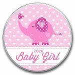 1 oz Silver Colorized Round - APMEX (2026 Baby Girl, Elephant)