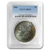 1878-1904 Morgan Dollars MS-64 PCGS (Beautifully Toned)