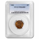 1901 Indian Head Cent MS-64 PCGS (Red/Brown)
