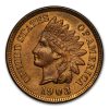 1903 Indian Head Cent BU (Red/Brown)