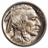 1923 Buffalo Nickel BU