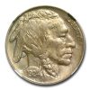 1924 Buffalo Nickel MS-63 NGC