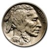1934-D Buffalo Nickel BU