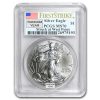 1986-Current Silver Eagle MS-70 NGC/PCGS (Random Year, Spotted)