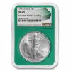 1993 American Silver Eagle MS-69 NGC (Green Holder)