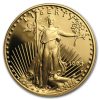 1993-P 1/2 oz Proof American Gold Eagle (Capsule Only)