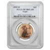 1995-W 1/2 oz Proof American Gold Eagle PR-70 DCAM PCGS