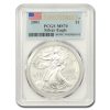 2001 American Silver Eagle MS-70 PCGS (First Strike)