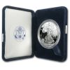 2003-W 1 oz Proof American Silver Eagle (w/Box & COA)