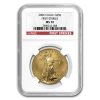 2006 1 oz American Gold Eagle MS-70 NGC (First Strike)