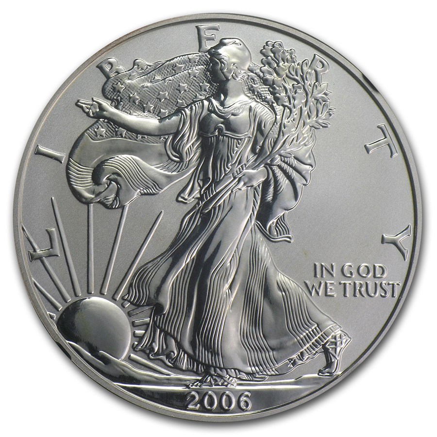2006-P 1 oz Reverse Proof Silver Eagle (Capsule Only)