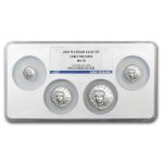 2007 4-Coin Platinum Eagle Set MS-70 NGC (ER, Uni-Holder)