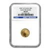 2007-W 1/10 oz Burnished American Gold Eagle MS-69 NGC (ER)
