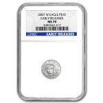 2007-W 1/10 oz Burnished American Platinum Eagle MS-70 NGC (ER)