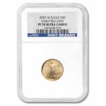 2007-W 1/10 oz Proof American Gold Eagle PF-70 NGC (ER)