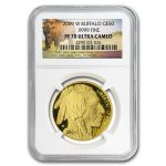 2009-W 1 oz Proof Gold Buffalo PF-70 NGC (Buffalo Label)