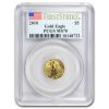 2010 1/10 oz American Gold Eagle MS-70 PCGS (FirstStrike®)