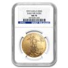 2010 1 oz American Gold Eagle MS-70 NGC (Early Releases)