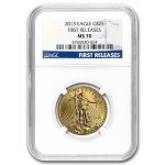 2013 1/2 oz American Gold Eagle MS-70 NGC (First Releases)