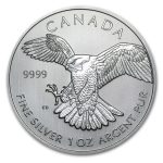 2014 RCM 1 oz Silver Birds of Prey Series Peregrine Falcon