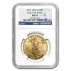 2015 1 oz American Gold Eagle MS-70 NGC (Early Releases)