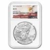 2017 American Silver Eagle MS-70 NGC (Eagle Label)