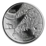 2017 Democratic Republic of Congo 100 gram Silver Water Buffalo