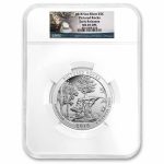 2018 5 oz Silver ATB Pictured Rocks MS-69 DPL NGC (ER/FR)
