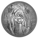 2019 South Africa 1 oz Silver Big Five Elephant BU