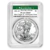 2021 (P) American Silver Eagle MS-69 PCGS (FDI, Philadelphia)