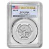 2022-P Maya Angelou American Women Quarter MS-66 PCGS (FS)