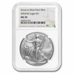 2022-(W) American Silver Eagle MS-70 NGC (Brown Label)