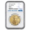 2024 1 oz American Gold Eagle MS-69 NGC (Early Releases)