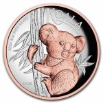 2024 Australia 5 oz Silver Gilded Koala Proof (High Relief)