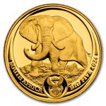 2024 South Africa 1/4 oz Proof Gold Big Five Elephant