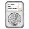2025 American Silver Eagle MS-69 NGC