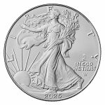 2025-(P) 1 oz American Silver Eagle Coin BU (Eagle Privy)
