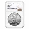 2025-(P) American Silver Eagle (Eagle Privy) MS-70 NGC