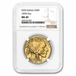 2026 1 oz Gold Buffalo MS-69 NGC