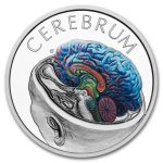 2026 Niue 1 oz Silver Proof Colorized Human Body - Brain
