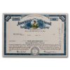American General Insurance Co + Print of Vignette Stock