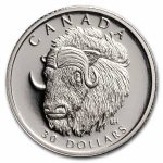 Canada 1/10 oz Proof Platinum Endangered Wildlife (Random Year)
