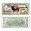 Celebrating America $2 Bill - Yellowstone National Park