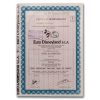 Euro Disneyland S.C.A. Stock Certificate