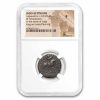 Indo Scythian AE Tetradrachm Aspavarma (20-46 AD) F NGC