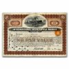 Int. Mercantile Marine Co. "Titanic" Newer Stock Cert (Brown)