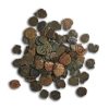 Judaea Widow's Mite (103-76 BC) Low Grade