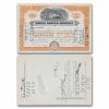 Magma Copper Company Stock Certificate