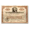 New York Central Railroad Co. Vanderbilt Portrait Stock - (Brown)