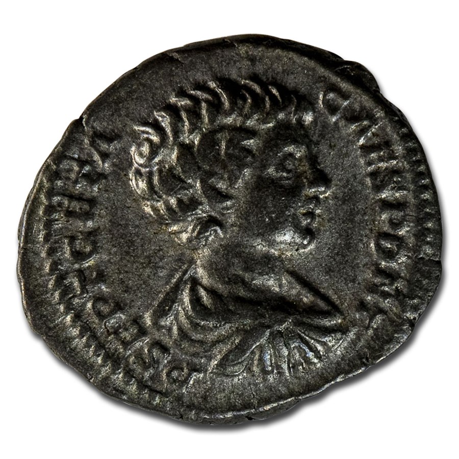 Roman Empire AR Denarius Geta 200-205 AD VF (RIC IV 18)